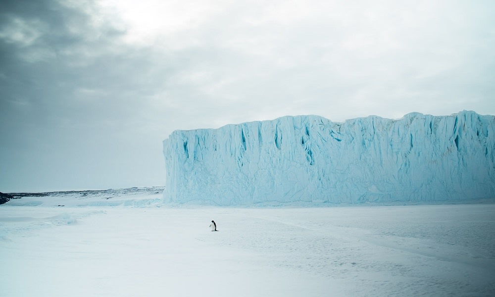 Understanding Antarctica