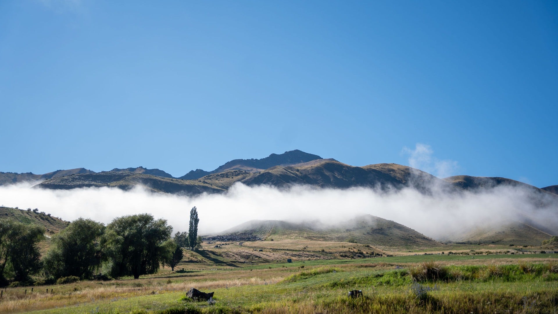 Our Visit to Middlehurst Station: A Journey to the Source