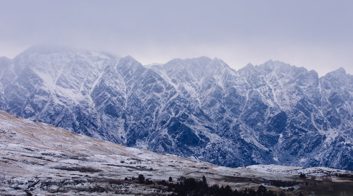 Do You Need a Digital Detox? How Nature is the Antidote