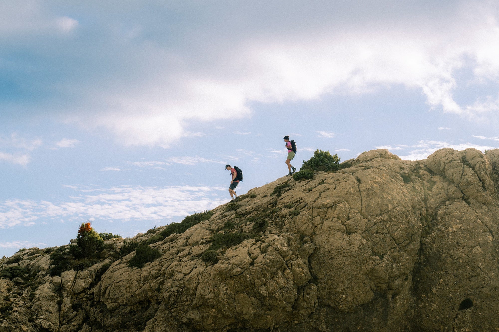Traceability and Transparency: Following Your icebreaker Merino Journey from Farm to Fabric in New Zealand & Australia