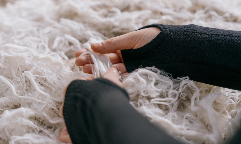 From High Country to Your Wardrobe: The icebreaker Merino Wool Story