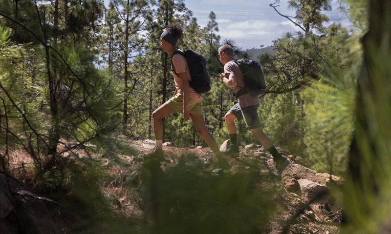 Discover Oceania’s Wild Trails: Sustainable Hiking with icebreaker