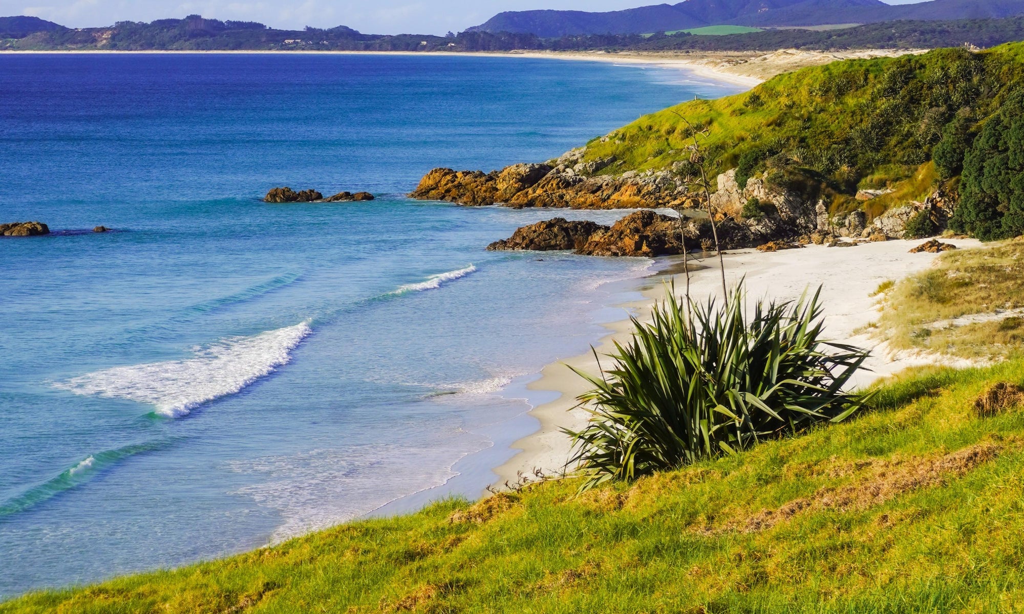 Is the Icebreaker MerinoLoft™ vest actually worth the investment?