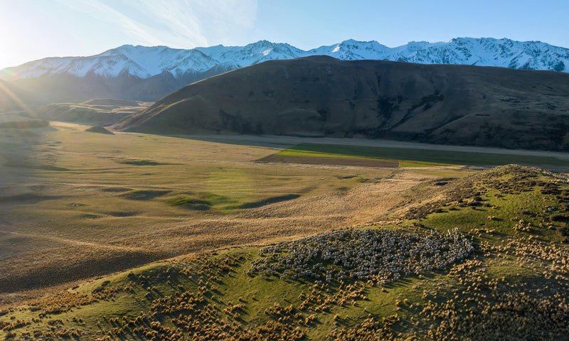 The Sustainable Hiker’s Guide: How Natural Fibres Enhance Every Adventure