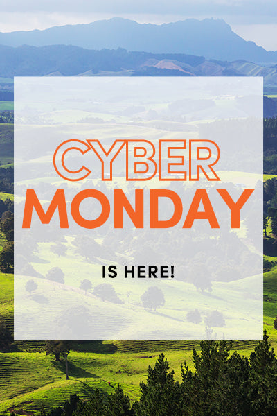 Black Friday is here!