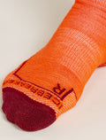 Men’s Merino Hike+ Medium Crew Socks Sedimentary Blaze/Port - 3