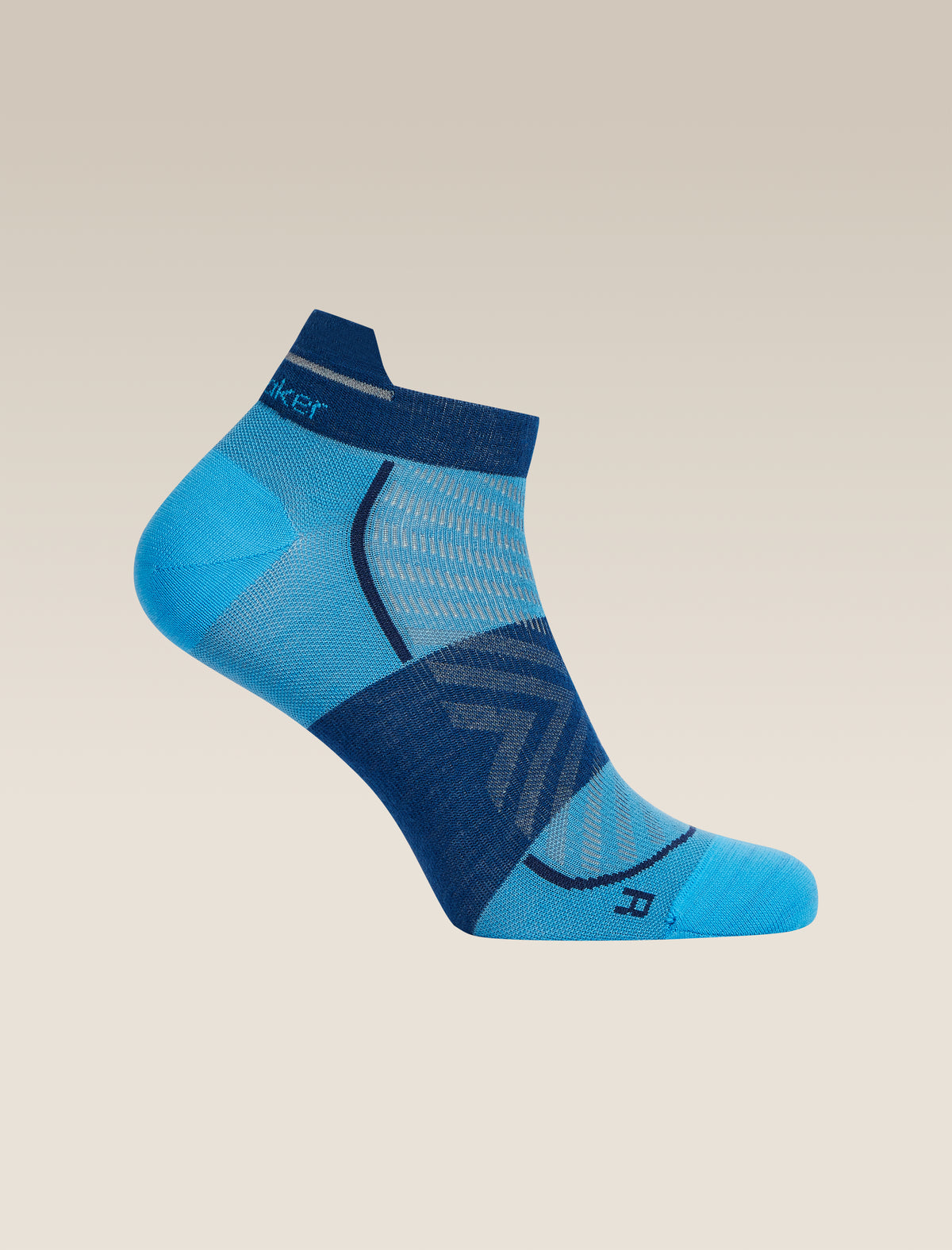 Men’s Merino Blend Run+ Ultralight Micro Arctic/Atlantis - 3