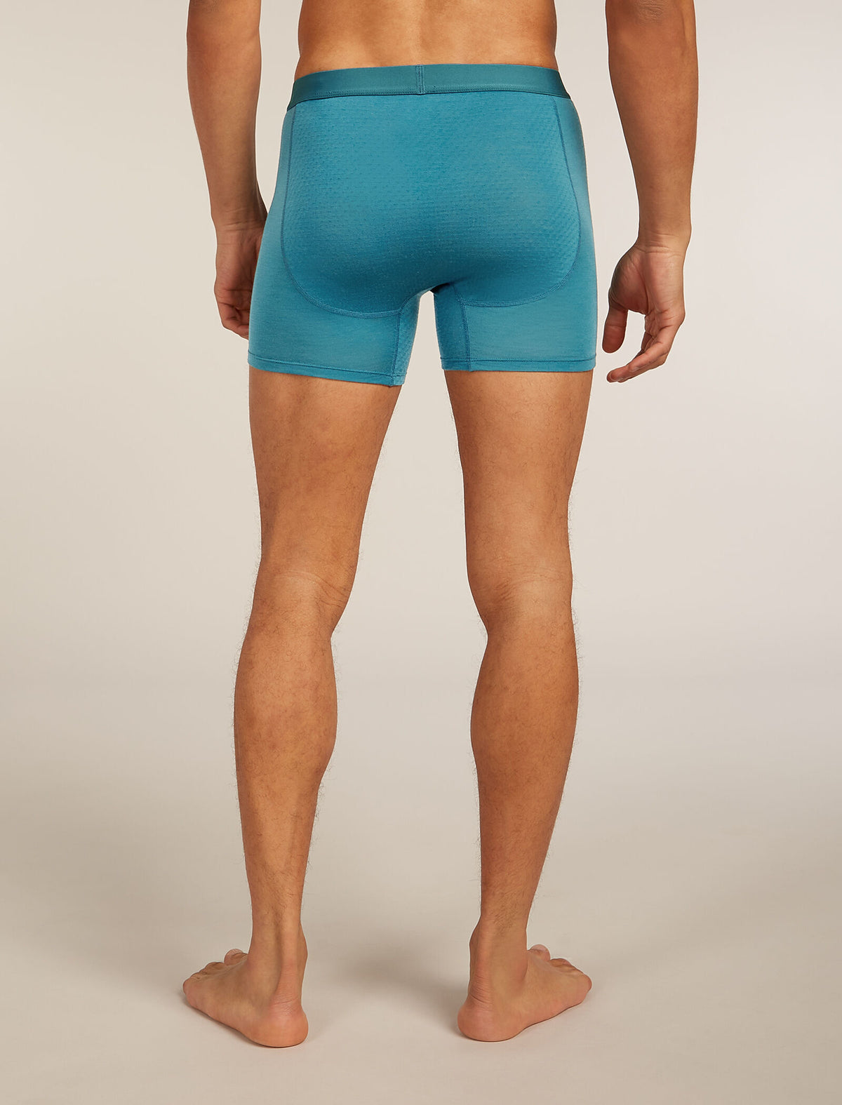 Men’s Merino Blend 125 ZoneKnit™ Boxers Topaz - 2