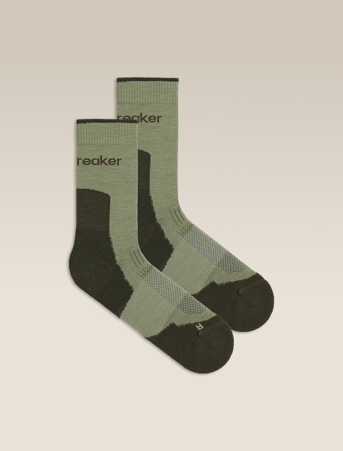 Women's Merino Hike+ Light Crew Socks Lichen/Dark Loden - 1