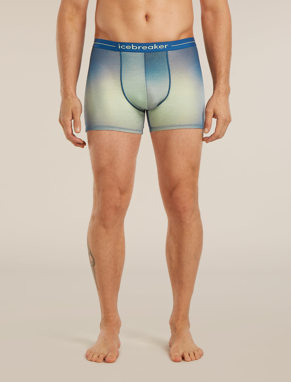 Men’s Merino 150 Anatomica Boxers Transition Atlantis/Flint blue/Seaglass - 1