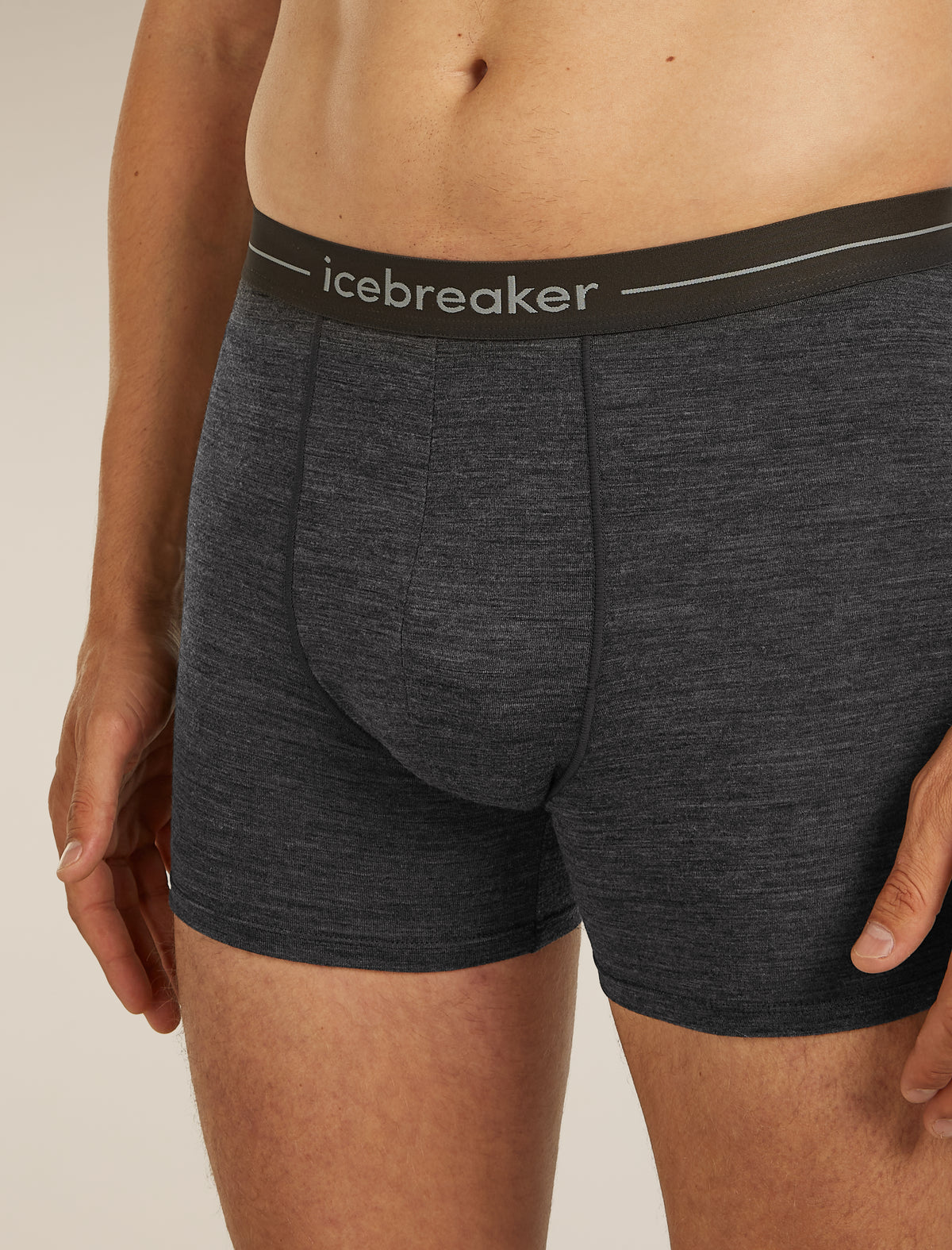 Men’s Merino 150 Anatomica Boxers Jet Heather - 7