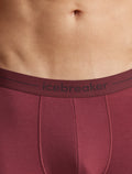 Men’s Merino 150 Anatomica Boxers Port - 6