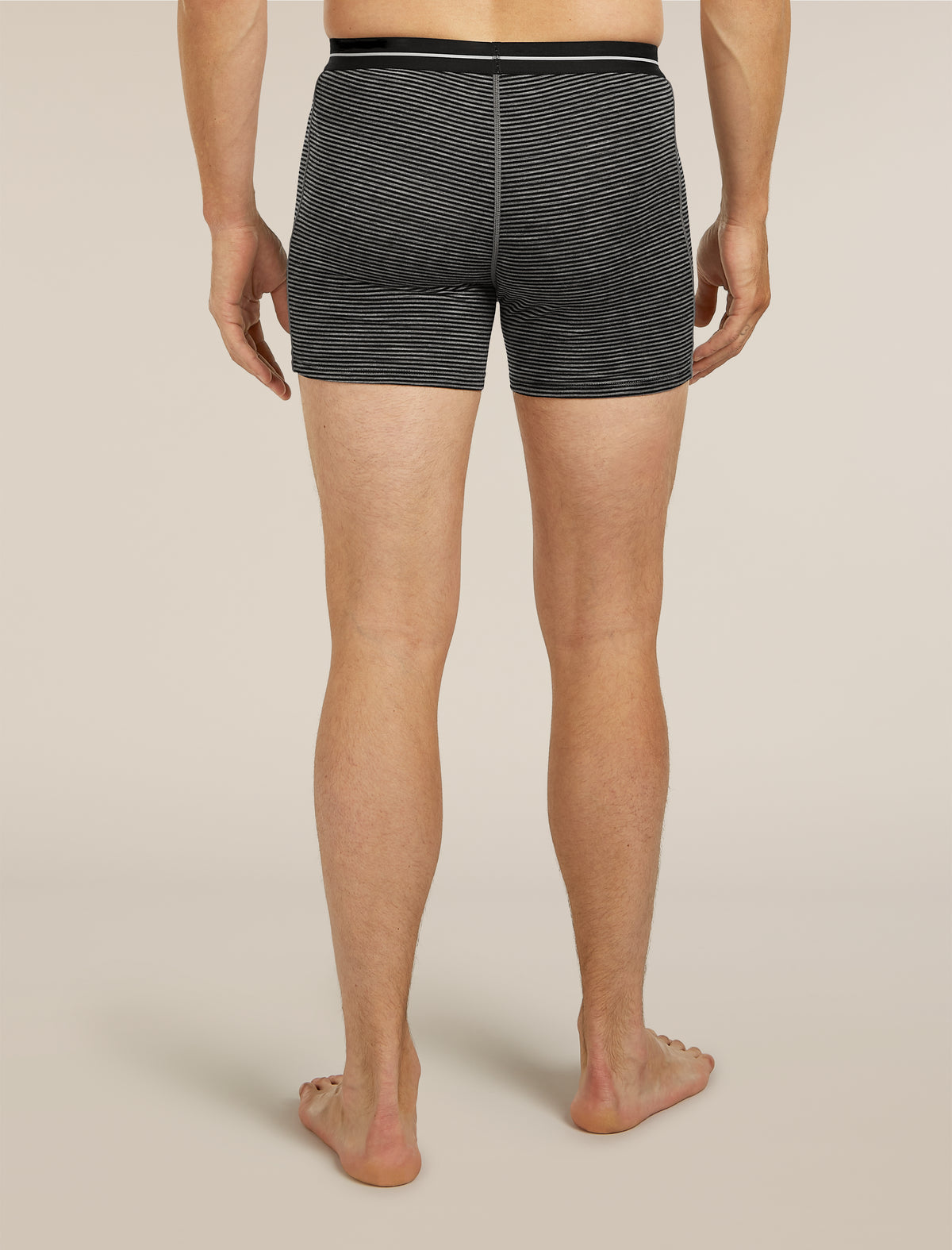 Men’s Merino 150 Anatomica Boxers Gritstone Heather Stripe - 2