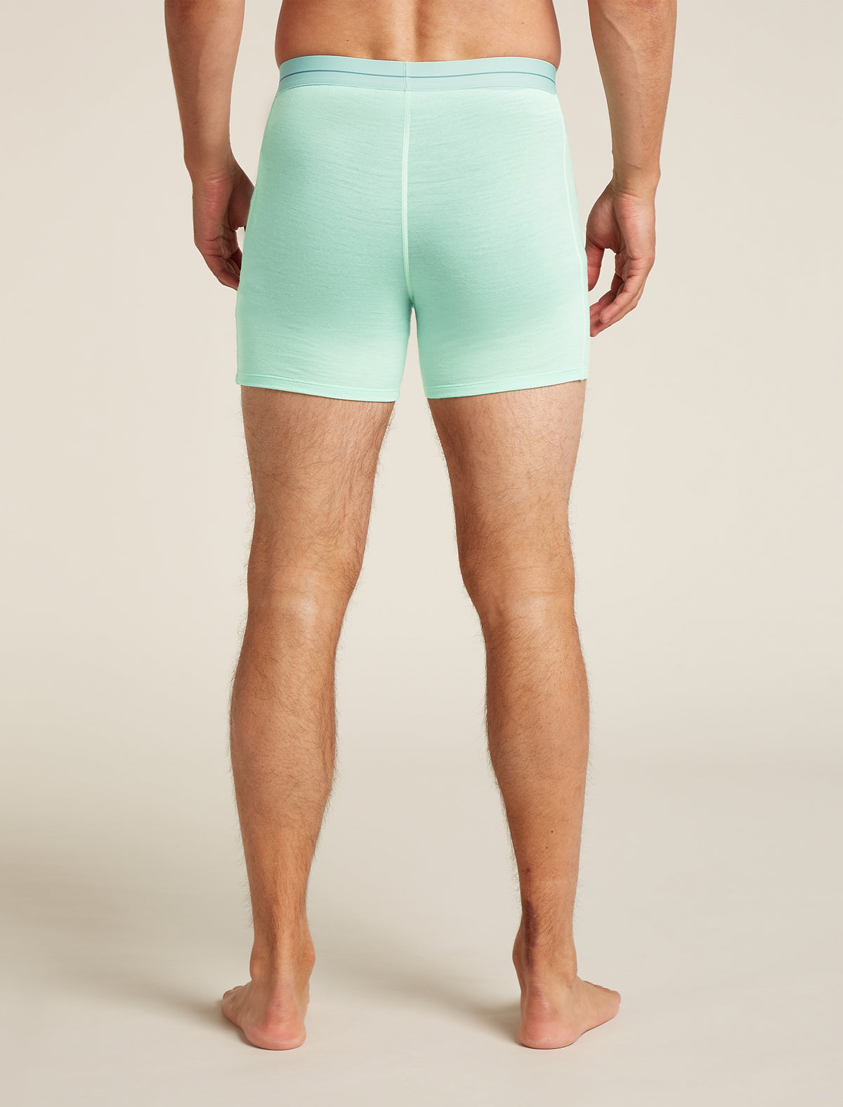 Merino 150 Anatomica Boxers Mint - 2