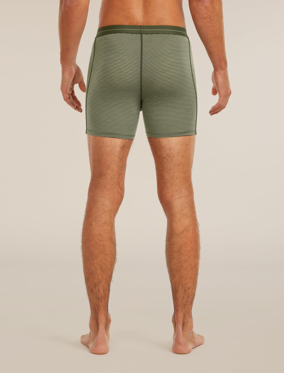 Men’s Merino 150 Anatomica Boxers Lichen/Dk loden - 2